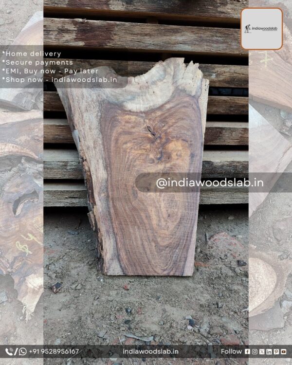Live edge wood slabs in India. @indiawoodslab +91 9528956167