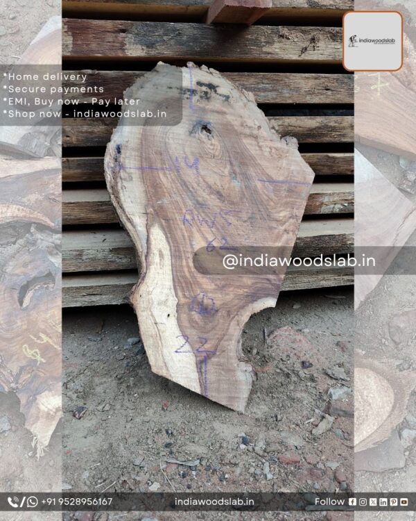 Live edge wood slabs in India. @indiawoodslab +91 9528956167