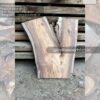 Live edge wood slabs in India. @indiawoodslab +91 9528956167