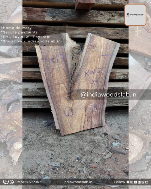 Live edge wood slabs in India. @indiawoodslab +91 9528956167