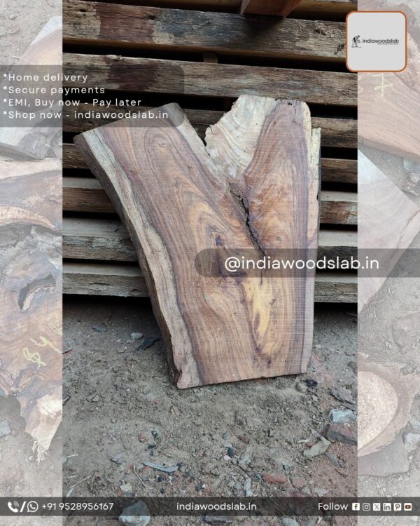 Live edge wood slabs in India. @indiawoodslab +91 9528956167
