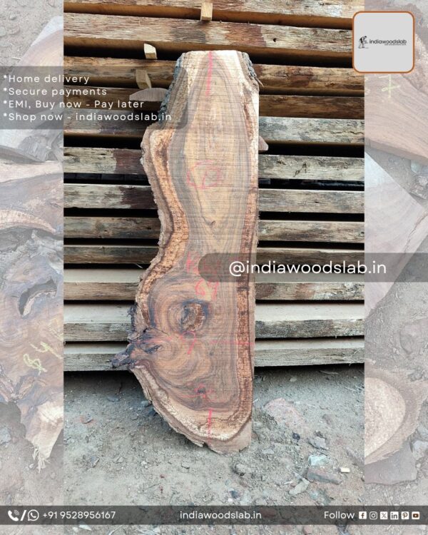 Live edge wood slabs in India. @indiawoodslab +91 9528956167