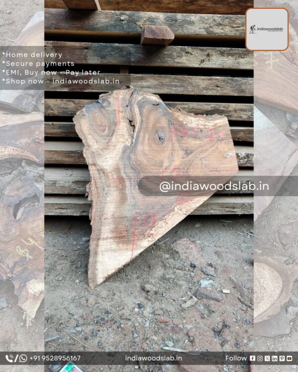Live edge wood slabs in India. @indiawoodslab +91 9528956167