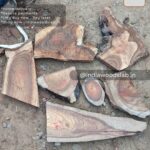 Live edge wood slabs in India. @indiawoodslab +91 9528956167