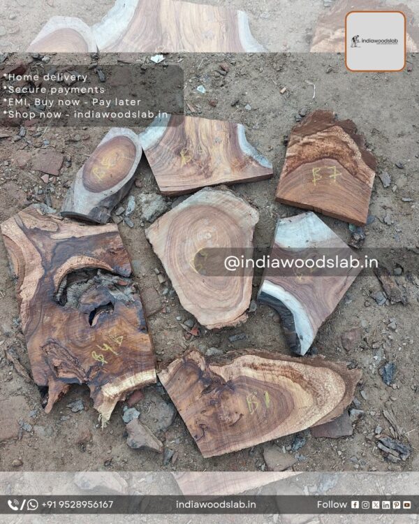 Live edge wood slabs in India. @indiawoodslab +91 9528956167