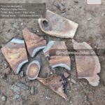 Live edge wood slabs in India. @indiawoodslab +91 9528956167